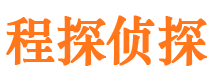 罗湖市调查公司